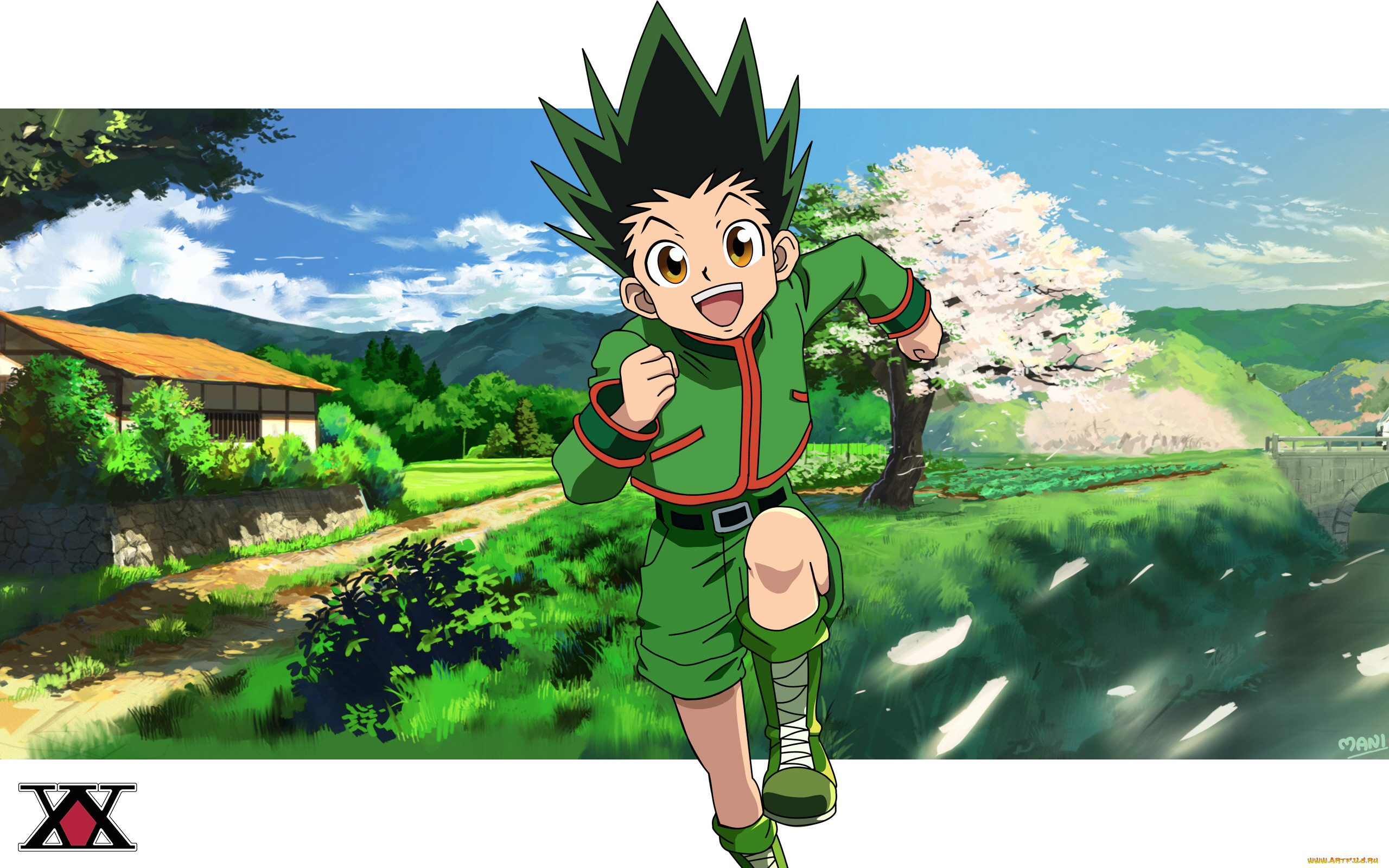 , hunter x hunter, gon, freecs, , , 